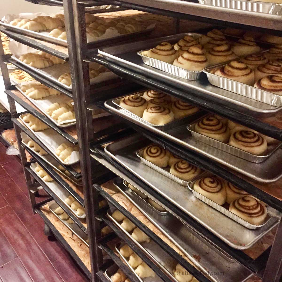 Baking racks full of dinner rolls and cinnamon rolls rising.