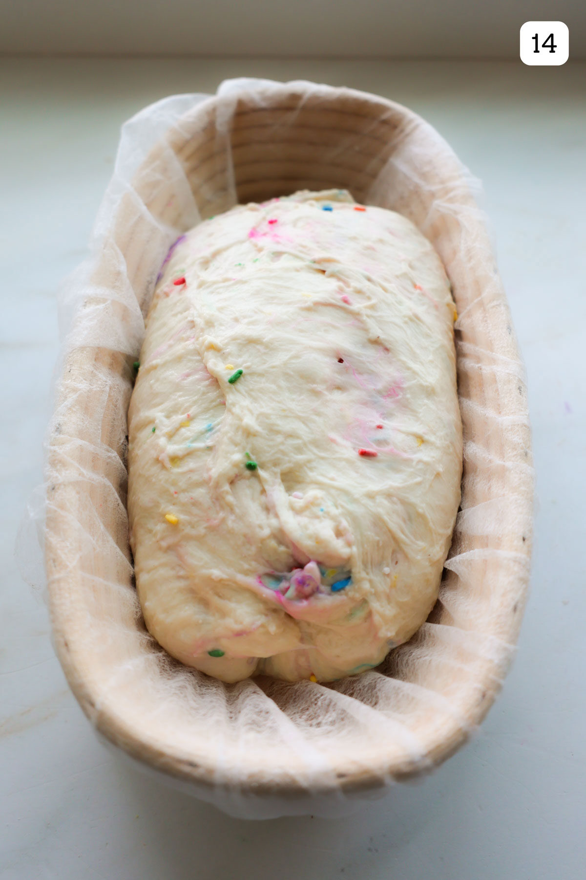 A round loaf of funfetti sourdough resting in an oval proofing basket lined with a hair net.