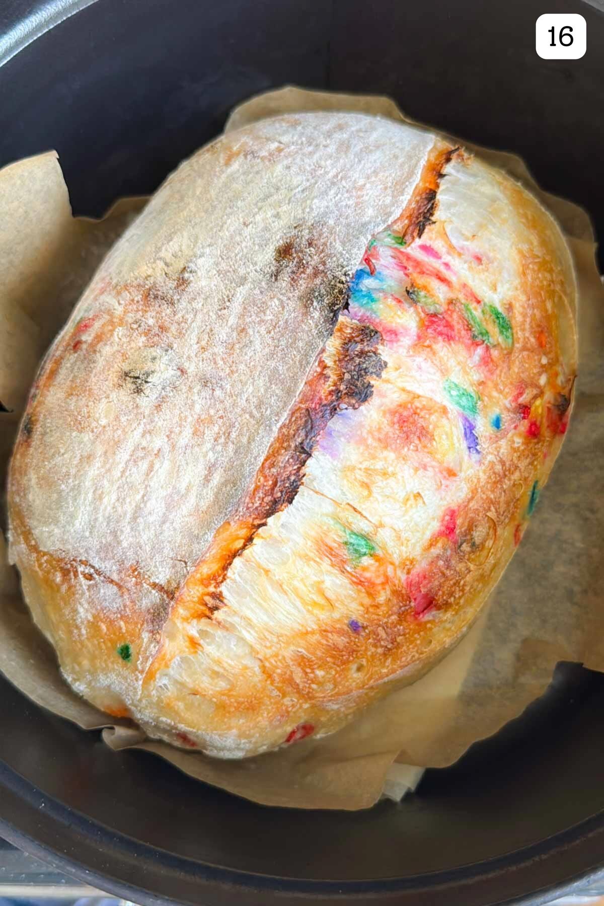 A baked funfetti sourdough loaf resting in a Dutch oven with parchment on the bottom.