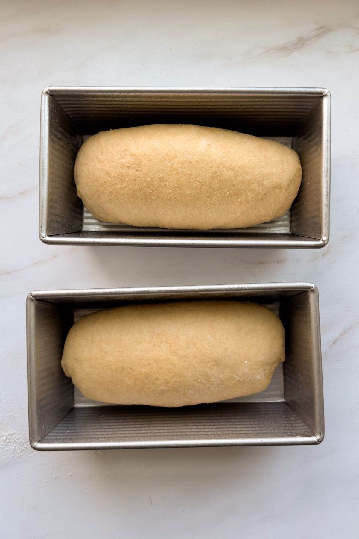 Two shaped loaves of honey whole wheat sandwich bread in bread pans.