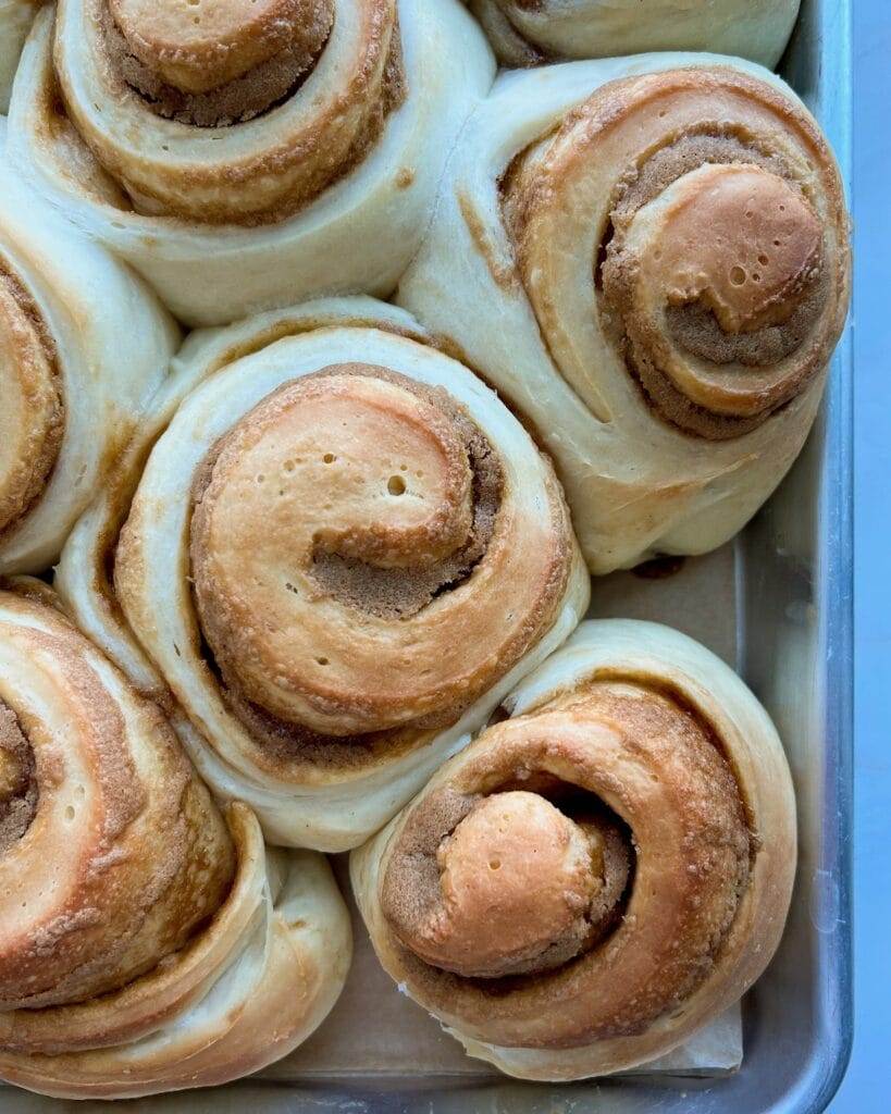 Baked Biscoff cinnamon rolls unfrosted.