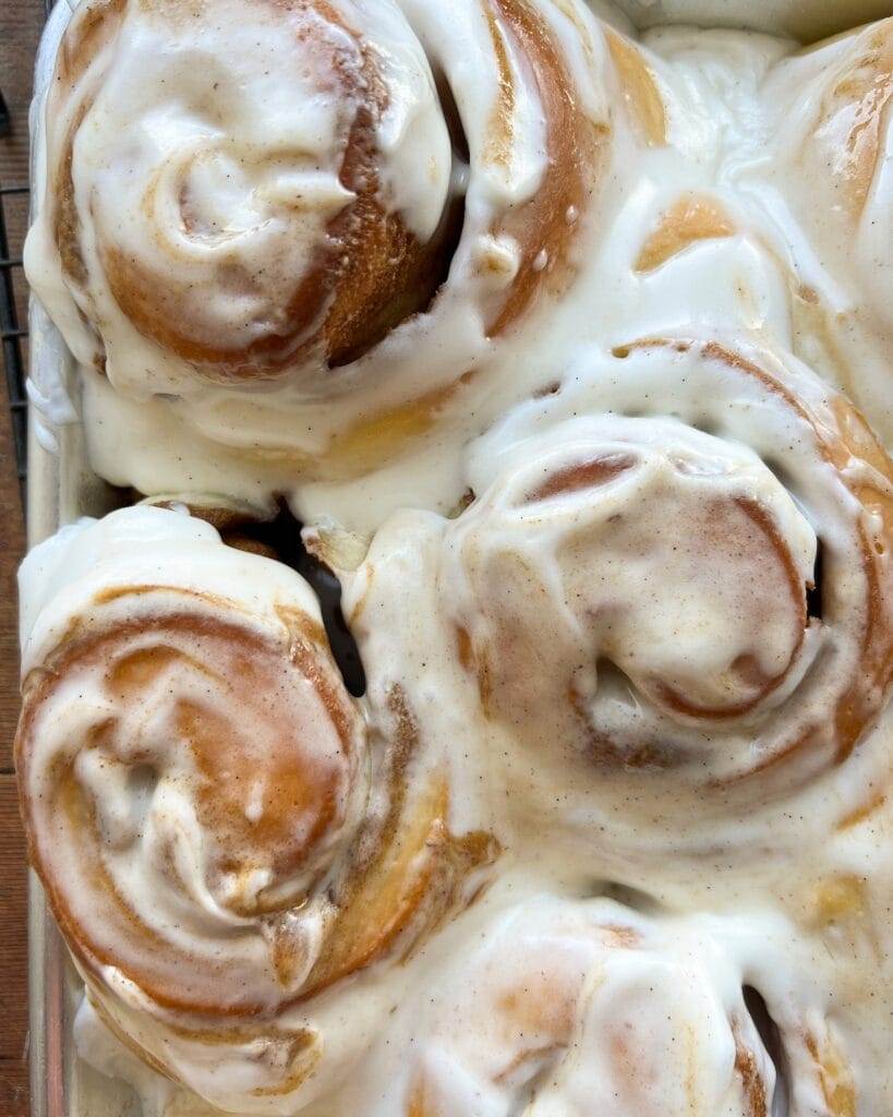 Biscoff Cinnamon Rolls frosted with brown butter cream cheese frosting.