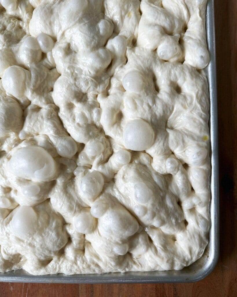 An uplose view of risen focaccia bubbling in a baking sheet.