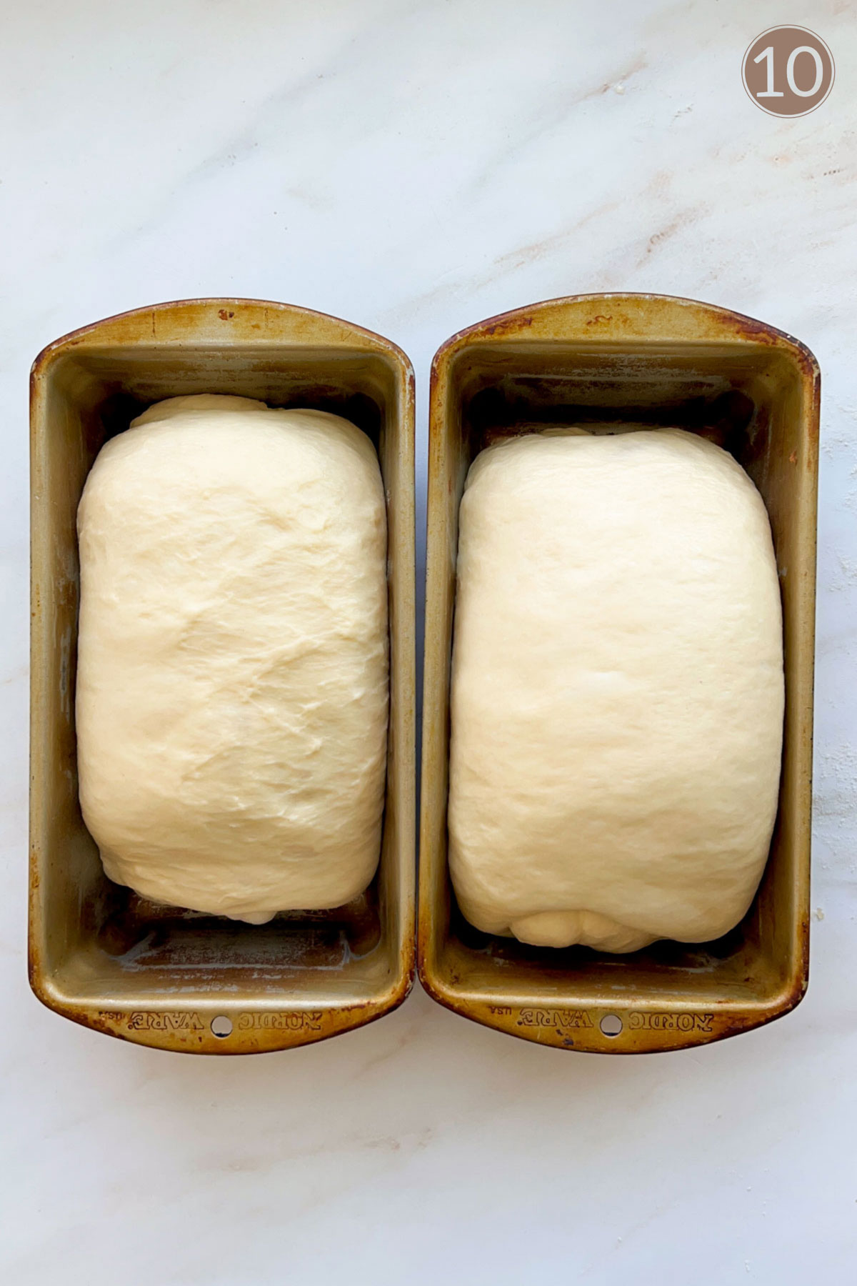 Two loaves of white bread, rising in loaf pans on a white marble counter top.