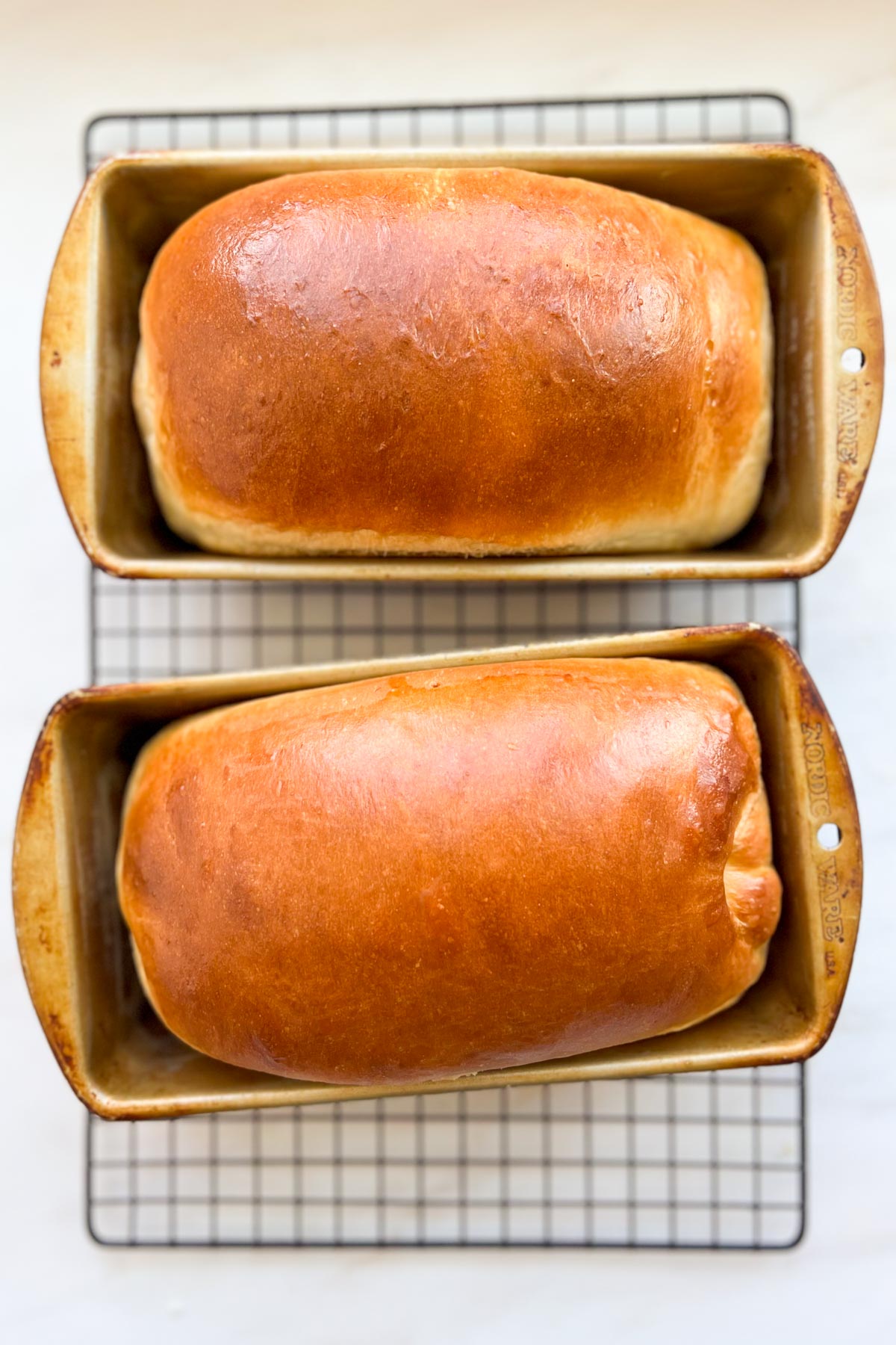 Two loaves of bread, in the pans, on a wire cooling rack.