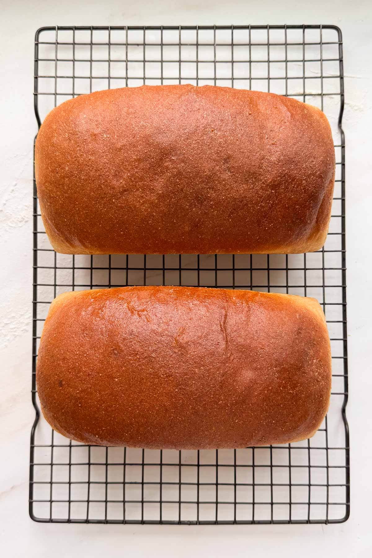 Two loaves of honey whole wheat sandwich bread on a wire cooling rack.