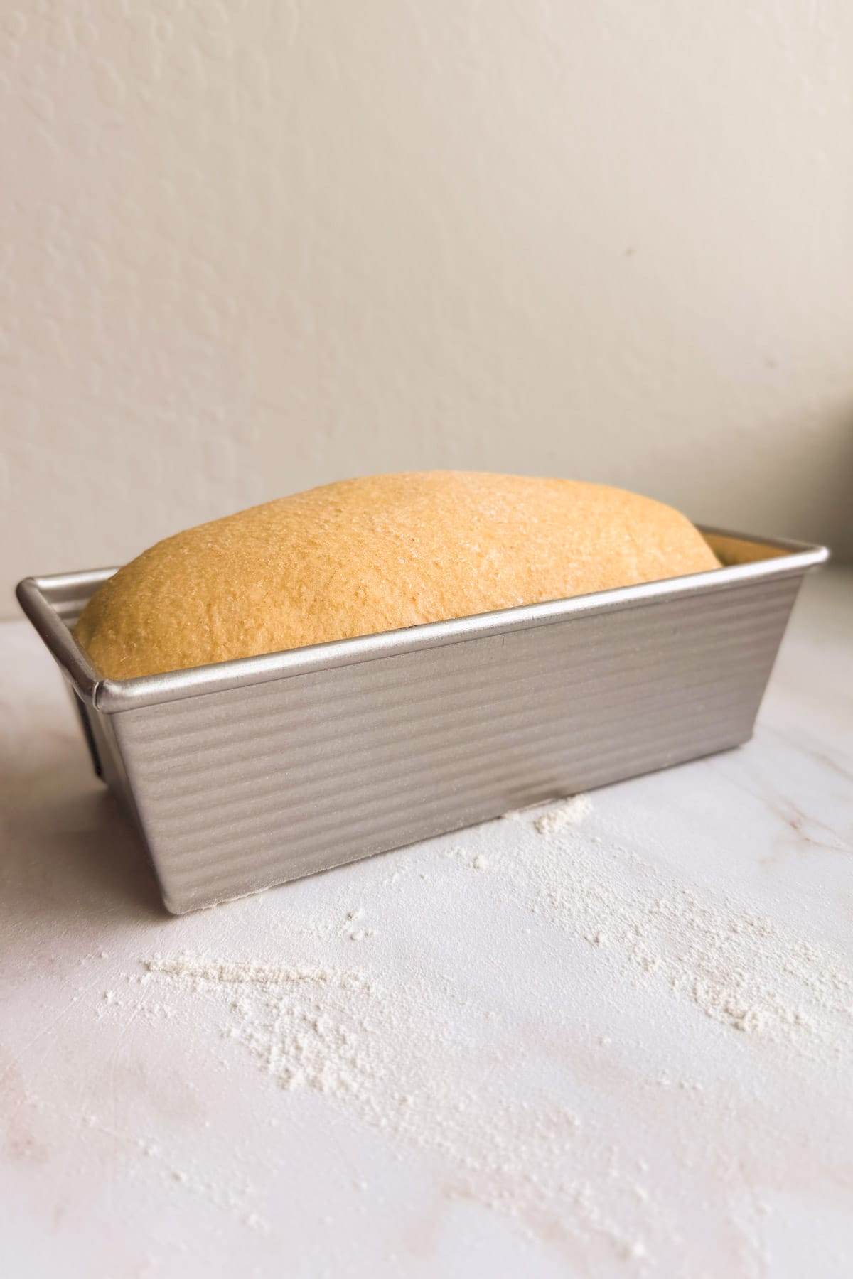 A loaf of risen bread dough about 1 inch above the pan level.