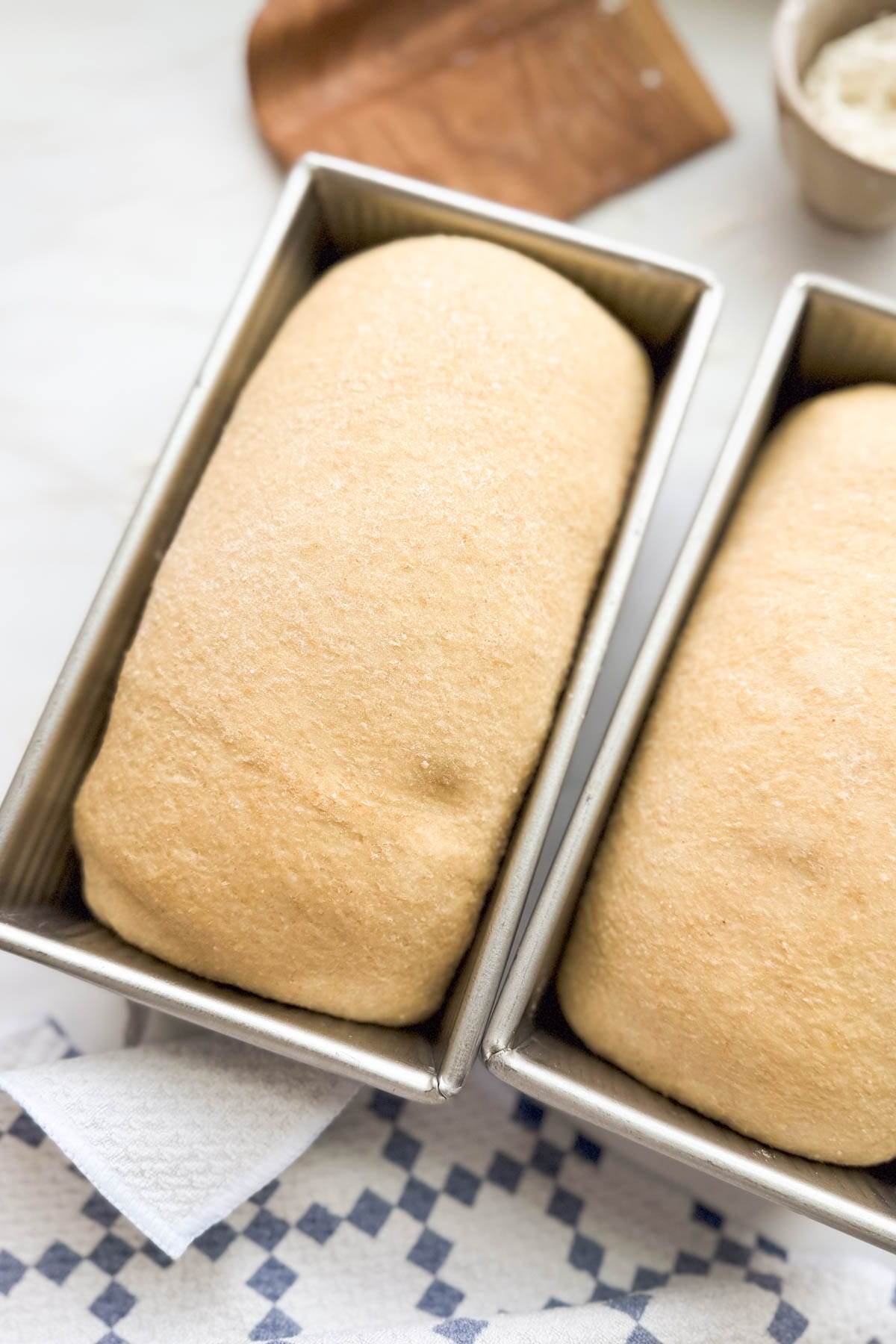 Two loaves of bread dough, one with a finger indentation in the dough.